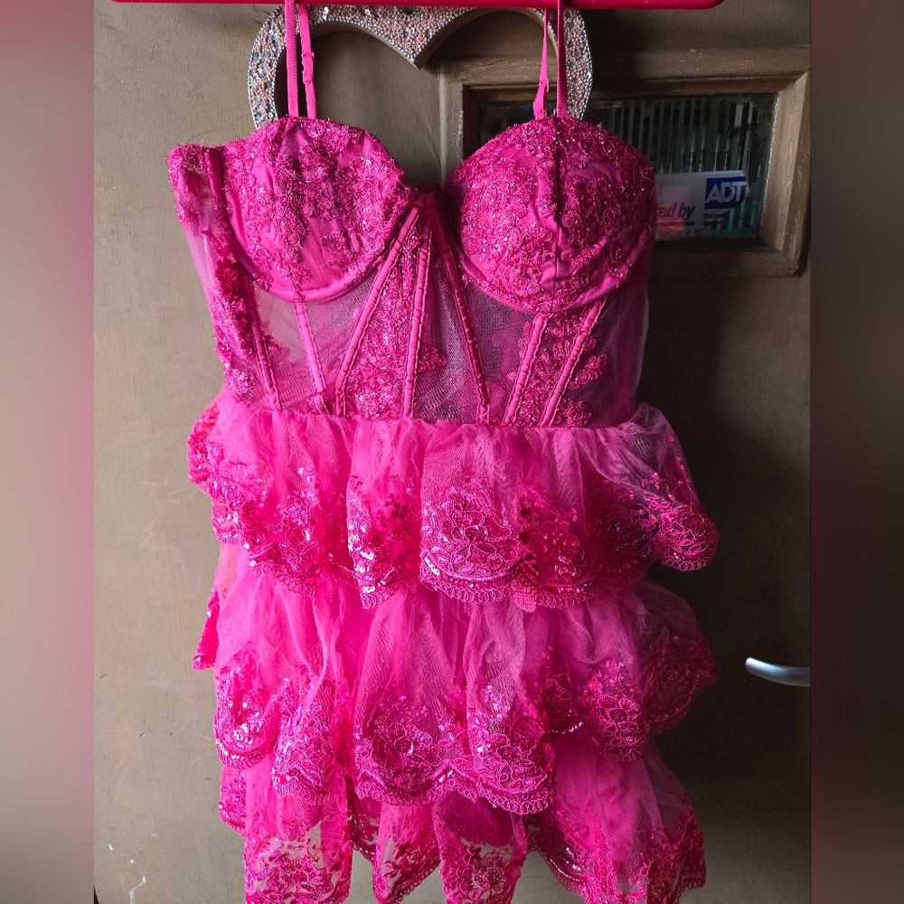 Absolutely stunning Size Large Hot Pink Mini Floral Embroidered Corset dress